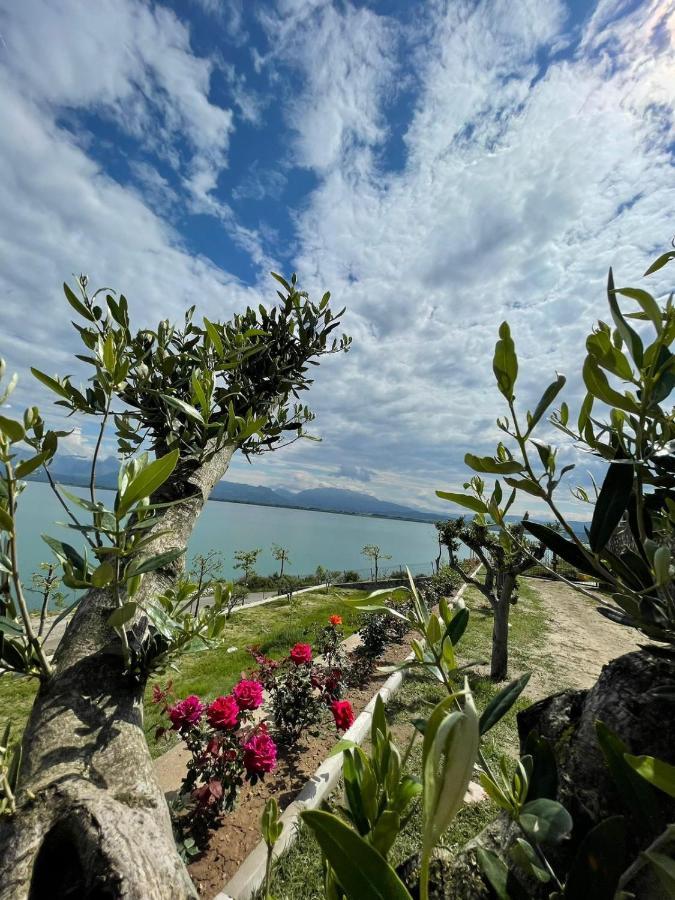 Xhuli Guesthouse Шкодер Экстерьер фото