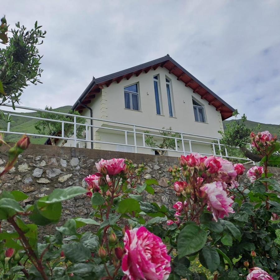 Xhuli Guesthouse Шкодер Экстерьер фото