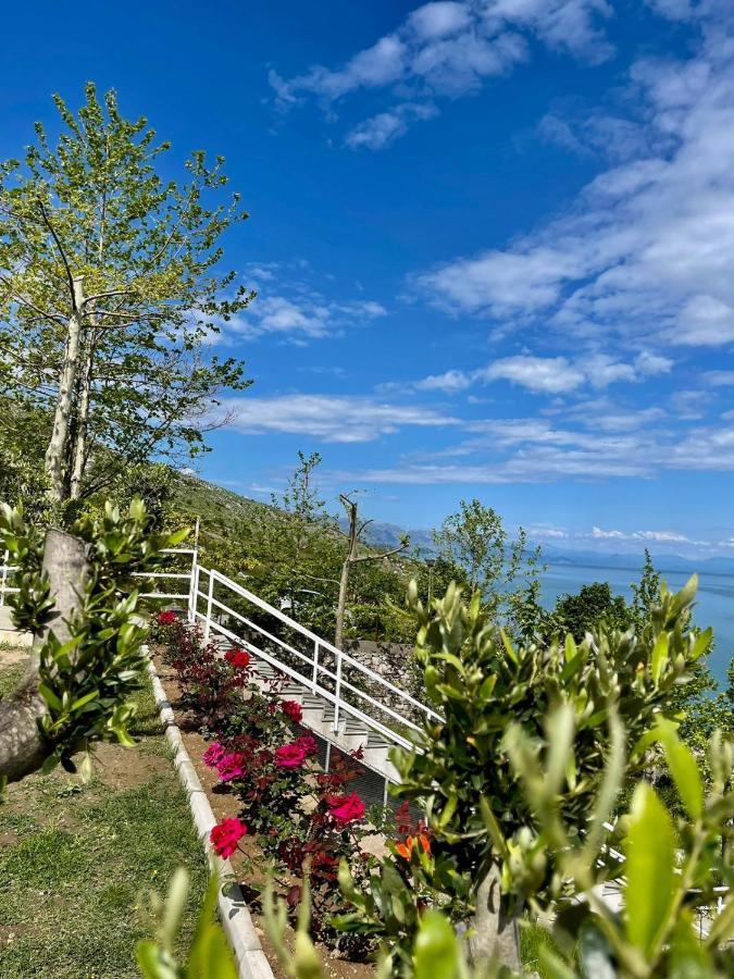 Xhuli Guesthouse Шкодер Экстерьер фото