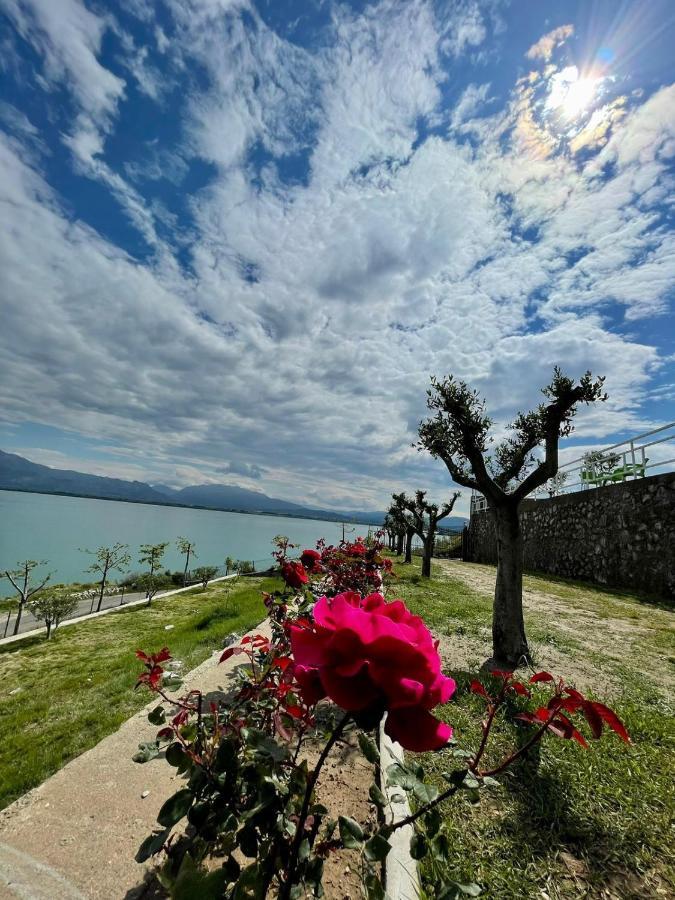 Xhuli Guesthouse Шкодер Экстерьер фото